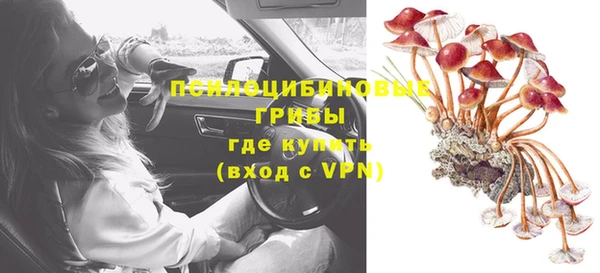 дживик Медвежьегорск