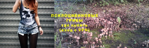 мяу мяу мука Медногорск