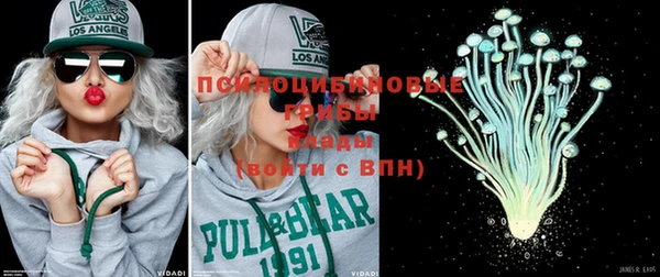 дживик Медвежьегорск