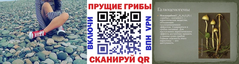 Галлюциногенные грибы Psilocybine cubensis  где купить наркоту  Фокино 
