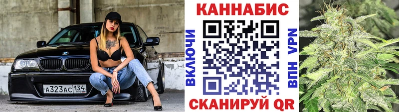 Бошки Шишки планчик  Фокино 
